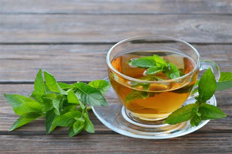 The Best Teas For Diarrhea And An Upset Stomach Teajoy