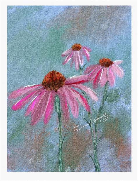 Coneflowers Digital Art By Susan Lipschutz Fine Art America