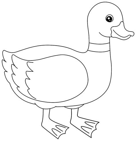 Desenhos De Pato Para Colorir Bora Colorir