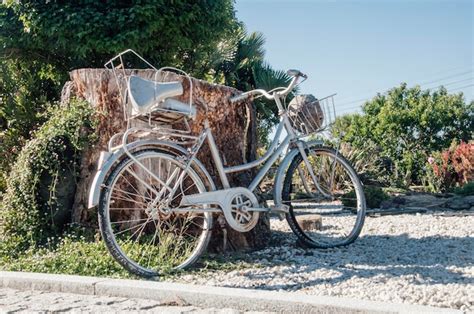 Premium Photo Vintage Woman Bike Parked On Big Cut Trunk Of A