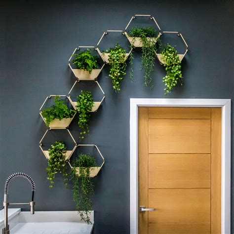 BLACK Indoor Living Wall Herb Garden Wall Planter Etsy UK