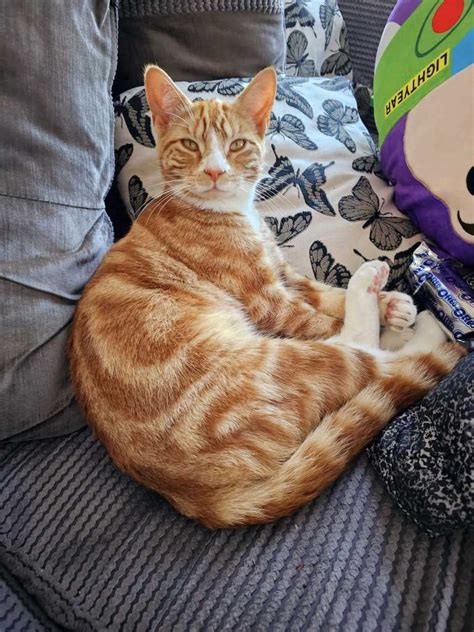 How Naked Sunbathing Is The New Celeb Trend From Ulrika Jonsson S Garden Strip To Rita Oras