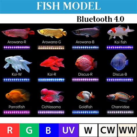 WEEK AQUA NEW T12 TUBE Aquarium Lightning【WEEK AQUA INTERNATIONAL ...