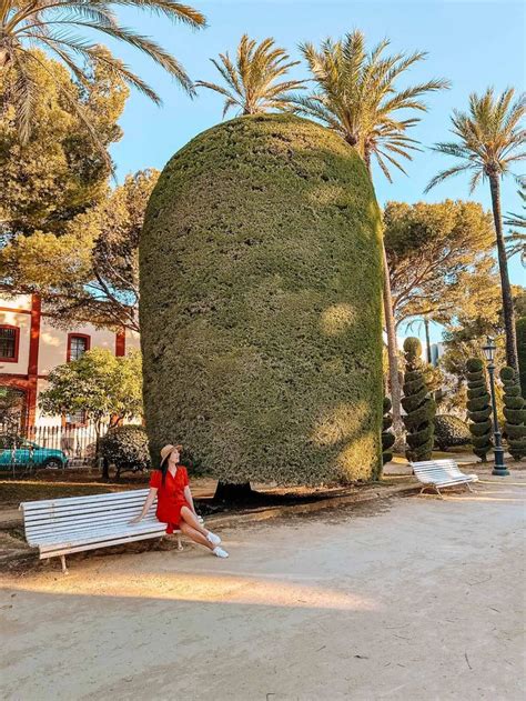 A Woman Sitting On A Bench In Front Of A Large Plant Like Structure