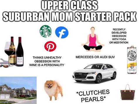 Upper Class Suburban Mom Starter Pack Rstarterpacks