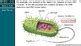 AP Biology 2019 2 11 Origins Of Cell Compartmentalization PPT