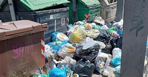 I Furbetti Dei Rifiuti Il Fenomeno Della Caccia Al Cassonetto Latina