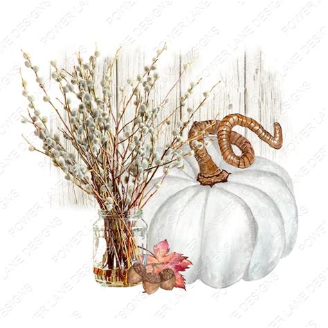 White Pussy Willow Etsy