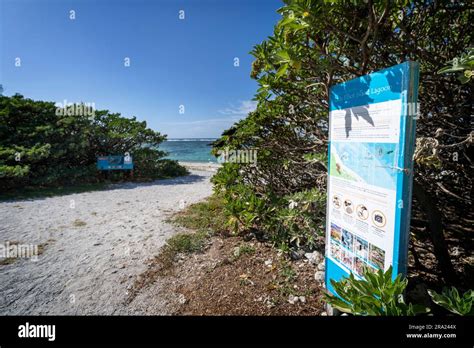 Information Sign Beside Walkway To Lagoon Beach Lady Elliot Island Eco