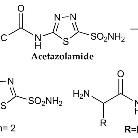 Structure of acetazolamide analogues 3 and 4. | Download Scientific Diagram