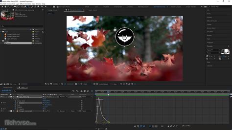 adobe  effects  review
