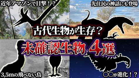 【ゆっくり解説】実は絶滅していなかった？！ 目撃されていてる古代生物4選【生存説編】 Youtube