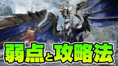 【モンハン】原初メルゼナの弱点と攻略法｜おすすめ武器は？ Poxnel