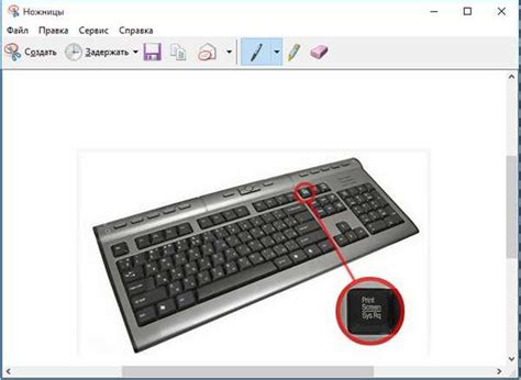Ножницы в windows 10 горячие клавиши. Ножницы Windows 7 — как ...