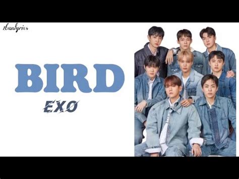 EXO BIRD The Best Ver Easy Lyrics YouTube