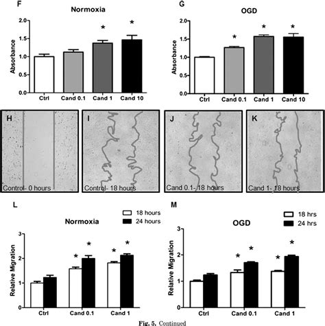 Figure 1 From Candesartan Induces A Prolonged Proangiogenic Effect And