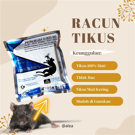 Jual Racun Tikus Petrokum Mati Kering Tidak Bau Obat Tikus