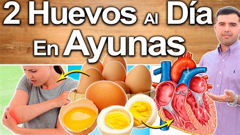 2 Huevos Al Día Salvan Tu Vida Beneficios De Comer Huevos Todos Los