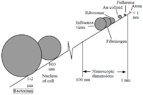 Size Comparison Of Small Particles Download Scientific Diagram