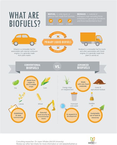 What Are Biofuels Infographic Biofuel Biomass Energy