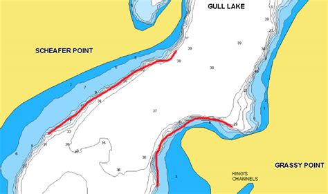 Big Gull Lake Fishing Map - Unique Fish Photo