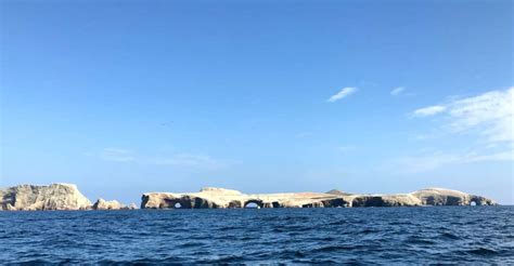 Ica Excursi N Privada A La Isla Ballestas Y La Reserva De Paracas