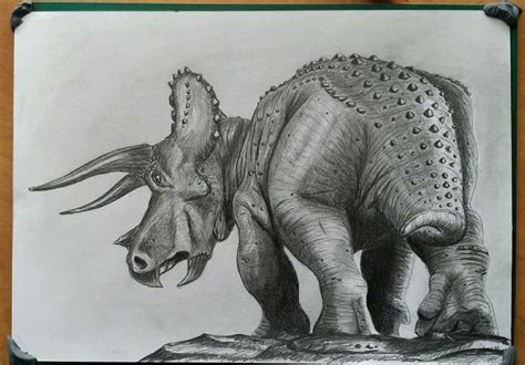 Triceratops Drawing Realistic