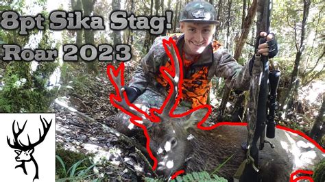 8 Point Sika Stag Roar 2023 Nz Chronicles Youtube