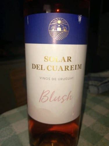 Calvinor Solar Del Cuareim Blush Vivino Us