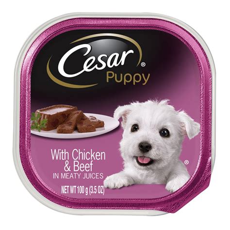 The Ultimate Guide to the Best Cesar Puppy Dog Food: Top 10 Products ...