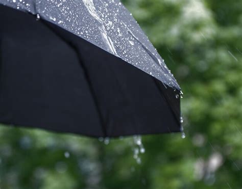 Premium Photo Umbrella And Rain Drops Closeup