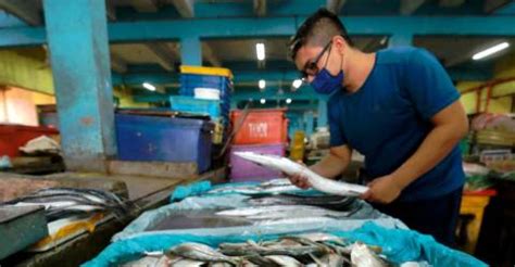 Bekalan Ikan Segar Mencukupi LKIM ReadSector