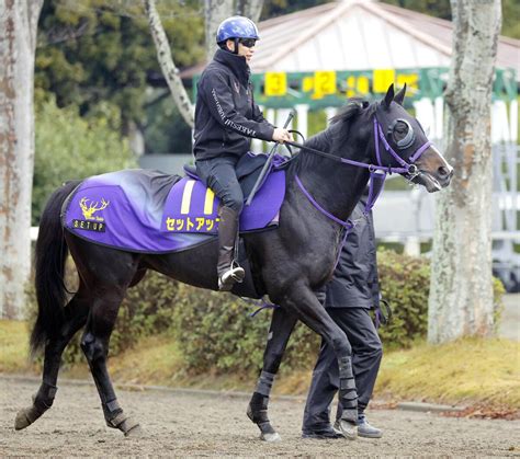 【注目馬動向】昨年の札幌2歳王者セットアップがサウジダービーの招待を受諾 ダート初挑戦 スポーツ報知