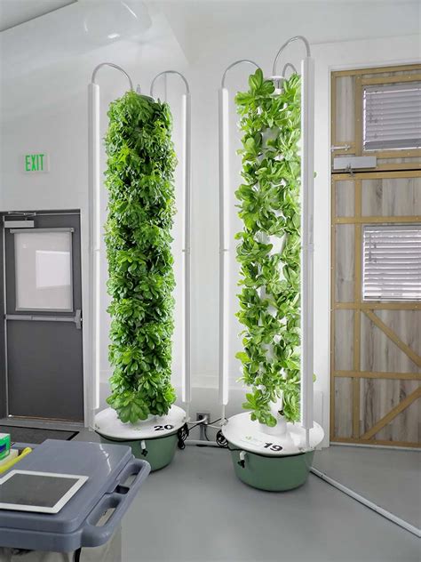 Indoor Vertical Farm Indoor Aeroponics 5 Points Farm