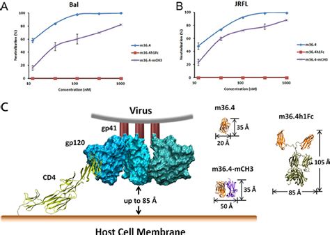 Hiv 1 Pseudovirus Neutralization Assay A And B Neutralization Of