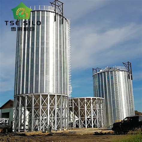 Customized Assembly Galvanized Steel Grain Silo For Poultry Farm