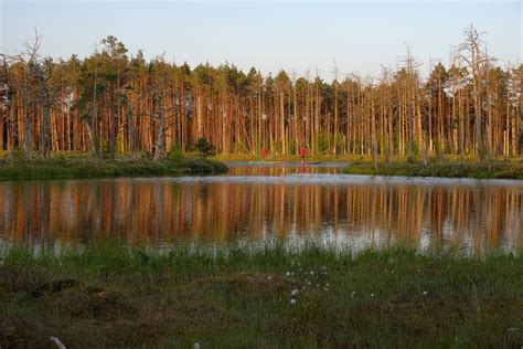 Supotāji Skaista Ezerā Skaista Ezers Redzeteu