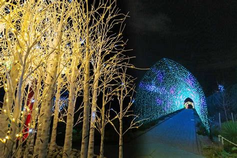 Blossoms Of Light Denver Botanic Gardens