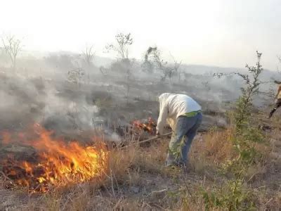 Incendio Forestal ampliarán las horas de trabajo en las Yungas jujeñas