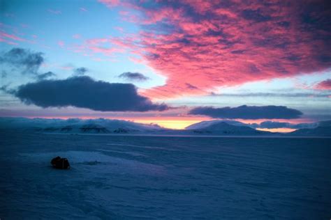 Croisi Re Spitzberg Ile Blanche Exp Dition Arctique Jours