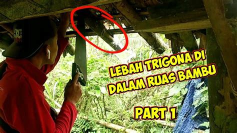 Pengambilan Sarang Lebah Trigonateuweul Dari Bambu Youtube