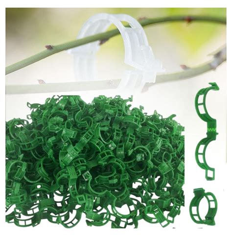 Secured Plastic Plant Clip 2024 New Plant Support Clips For Climbing