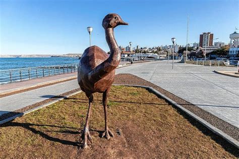 Luque Y Macharashvili Encabezaron La Apertura Oficial Del Paseo Costero