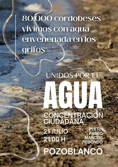 La Ciudadan A Pasa A La Acci N La Plataforma Unidos Por El Agua