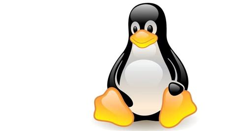 Best Linux Distros For Small Businesses In Clear