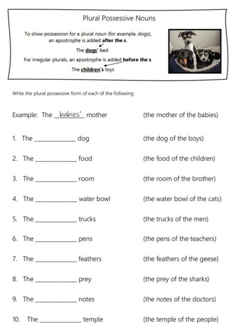 Plural Noun Possessives Worksheet Live Worksheets Worksheets Library