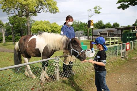 キリン 埼玉県こども動物自然公園 公益財団法人埼玉県公園緑地協会