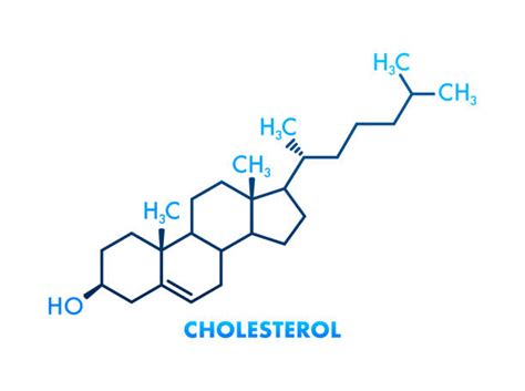 Fat Molecule Illustrations Royalty Free Vector Graphics And Clip Art