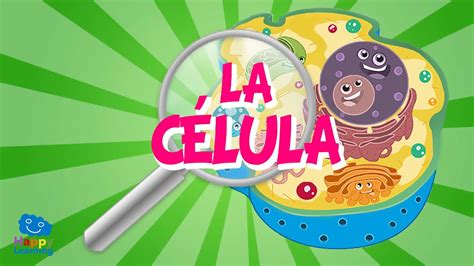 La Celula Y Sus Partes Vídeos Educativos Para Niños Youtube