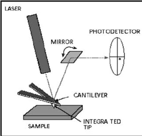 Principle of operation of AFM | Download Scientific Diagram